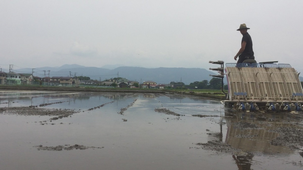 おこめです。田植え機試運転。準備OK！