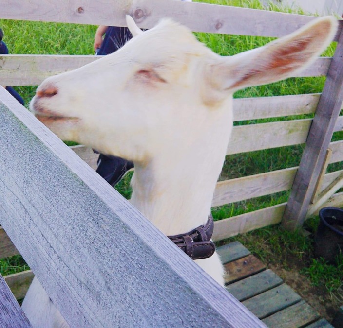 白目？ほほえみ？