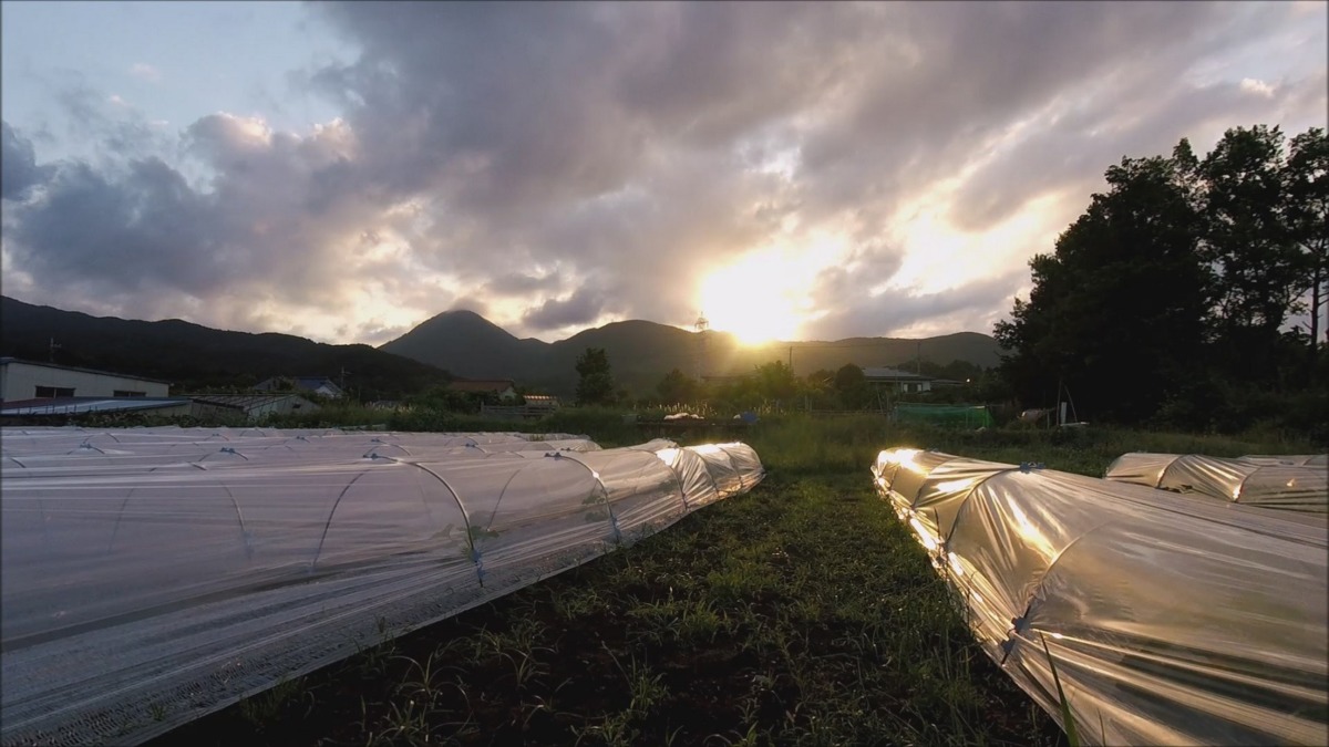 【タイムラプス】梅雨時の雲の動きに注目。Dynamic.