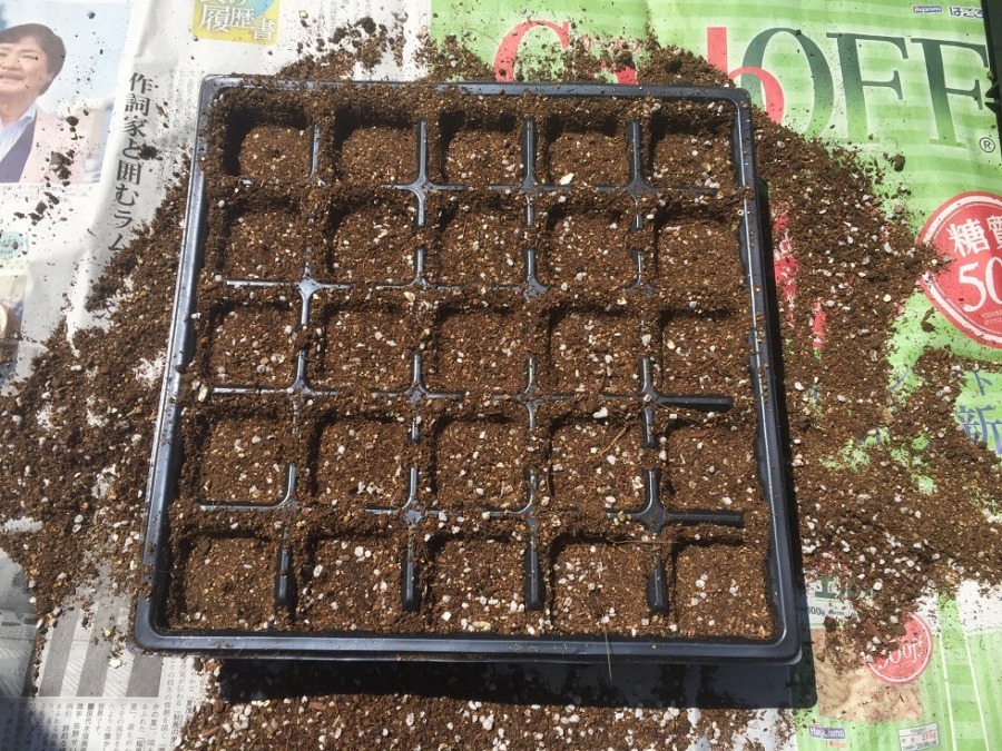 【フォト】メロンです。種まき。