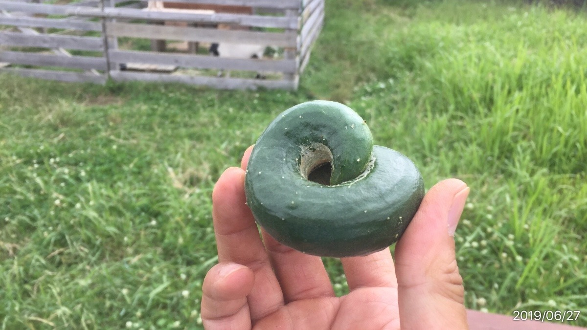 さて、なんでしょうか？（^^）