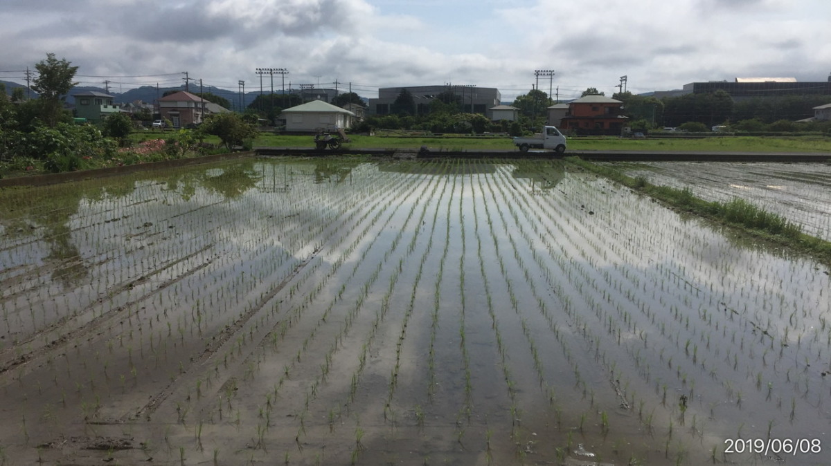 【祝】今年の田植え、完。