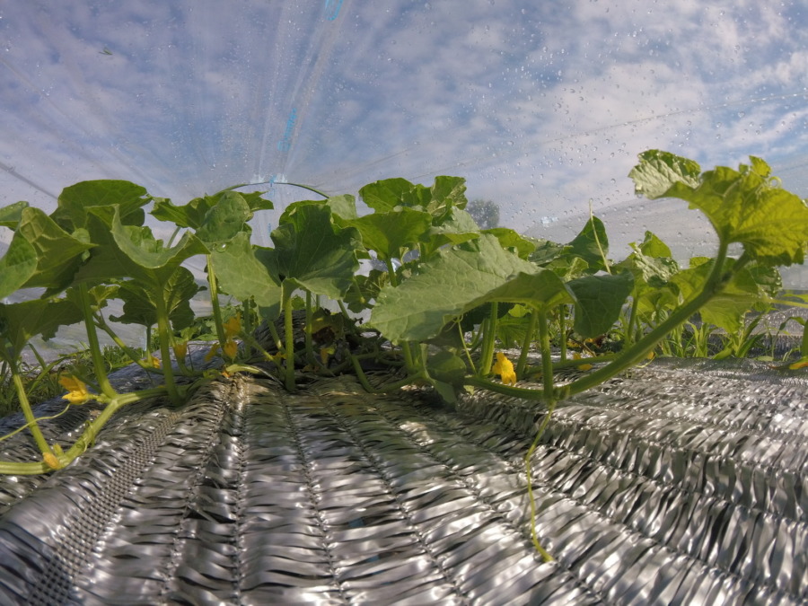 【フォト】トンネル内の様子。