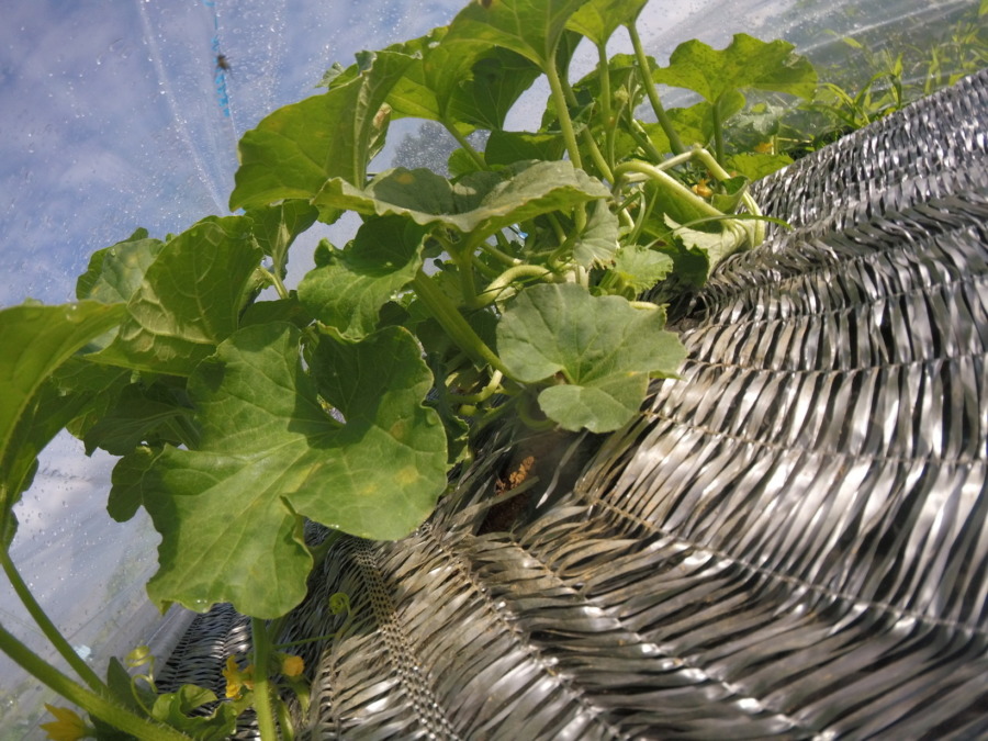 【フォト】トンネル内の様子。