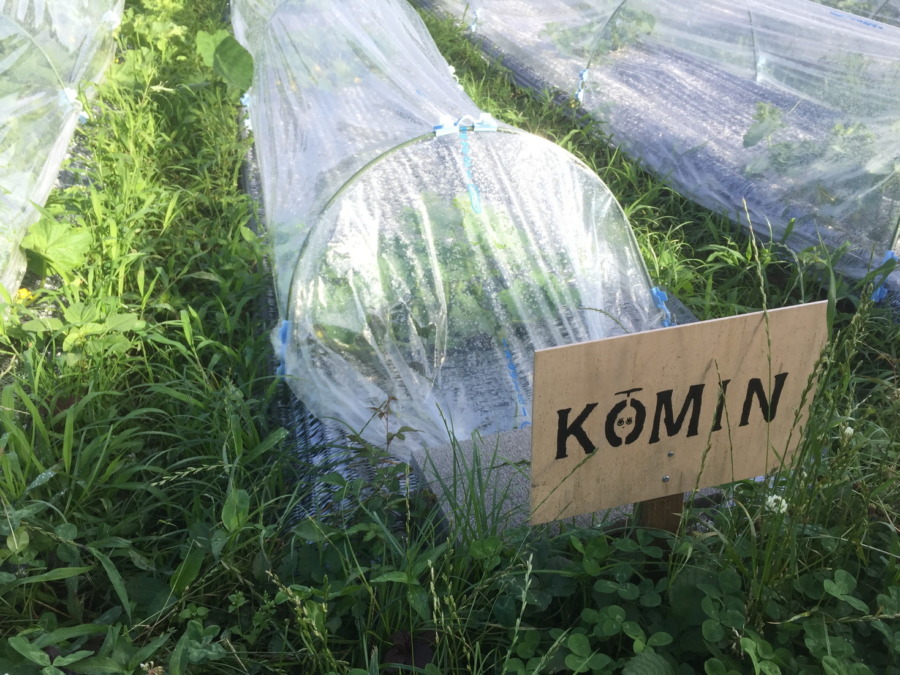 【フォト】ブロックの様子。（外）