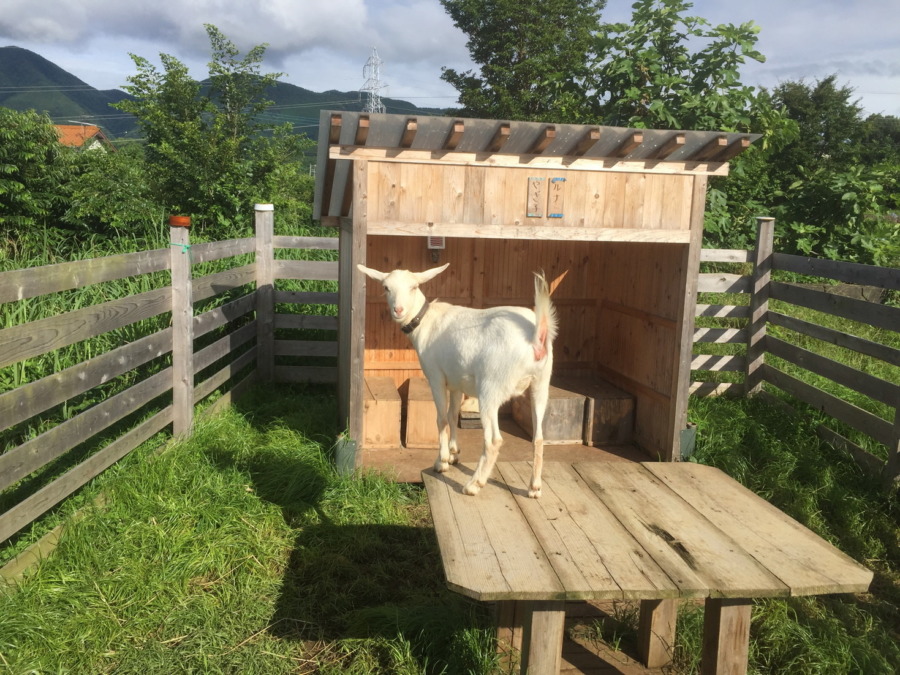 ルナです。見返り・・・？