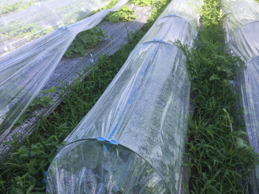 【フォト】ブロックの様子。（外）