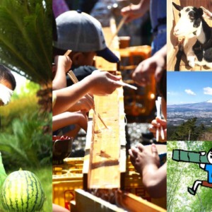 【無事開催できました】8/24（土）｜竹林で手作り流しそうめん！？の会