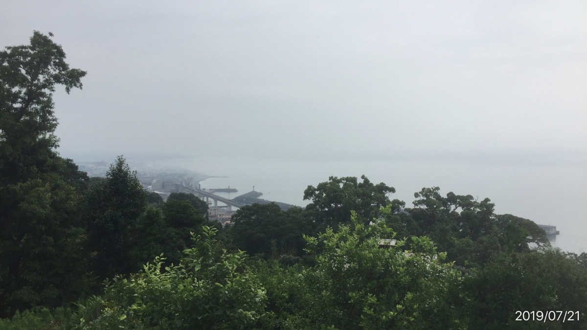 【ドローン】早川みかん畑、空撮。