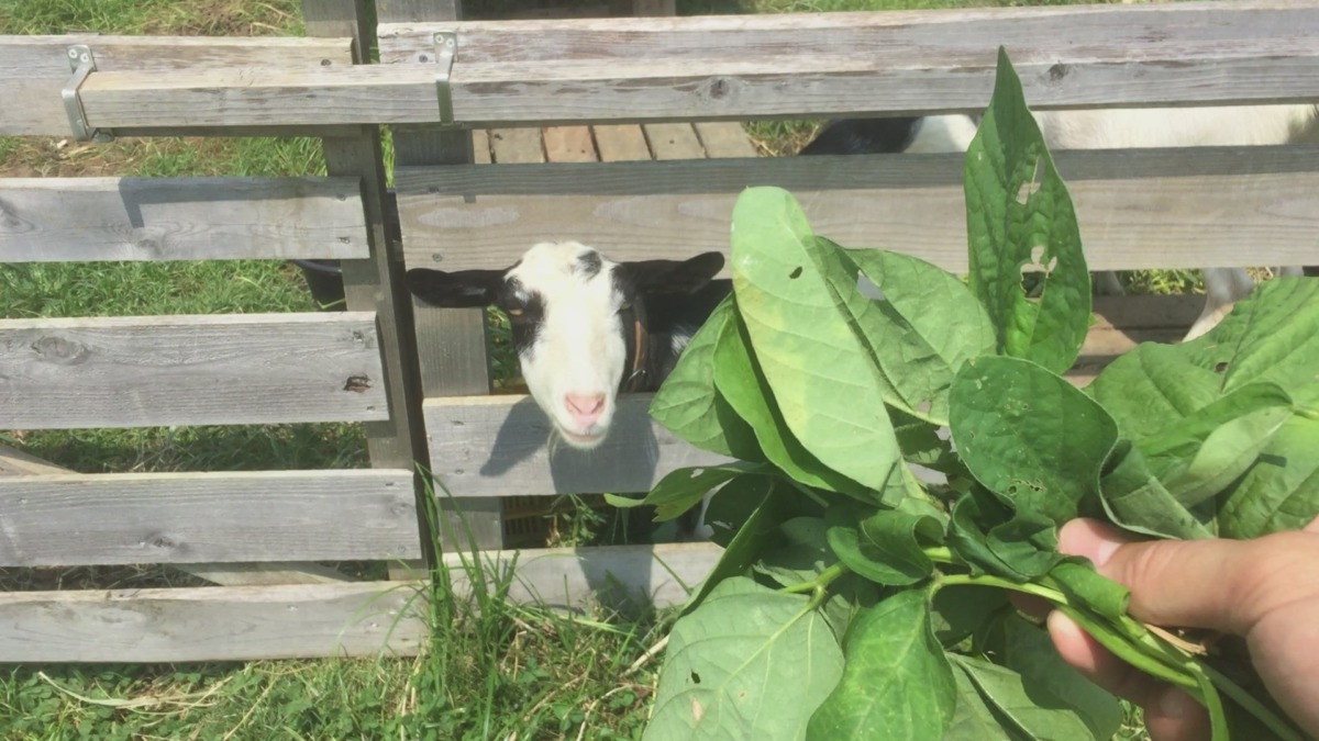 わたしがジーっと狙うのは、、、？？