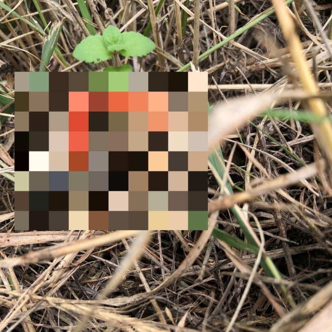 【ちょっとギャー】きつねの「たいまつ」or「ろうそく」！？