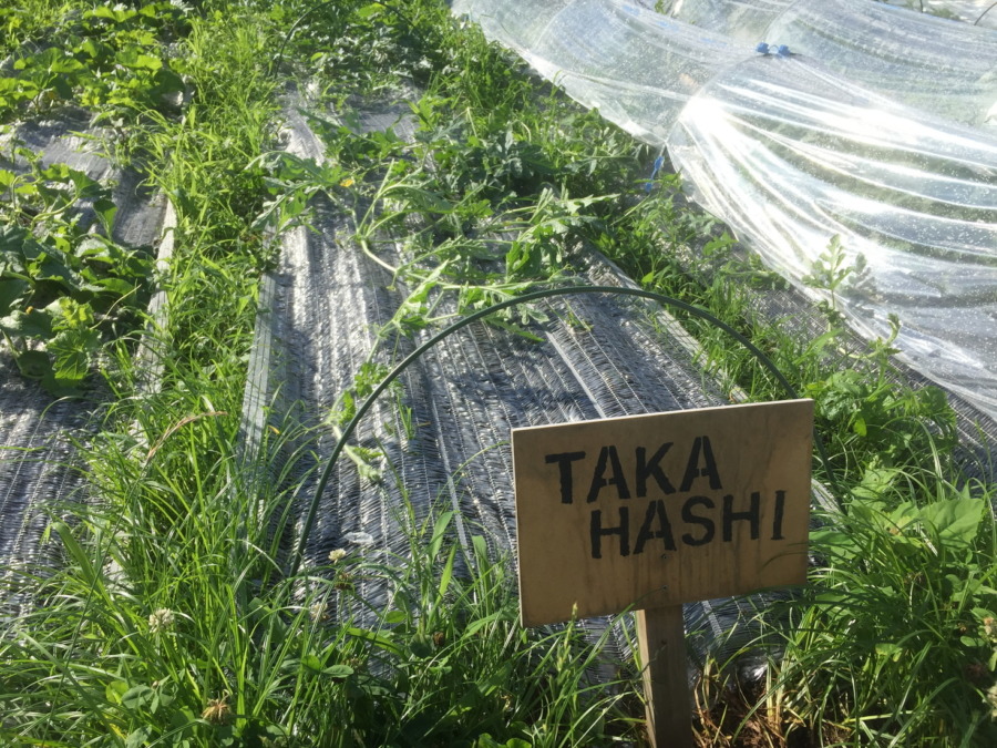 【フォト】ブロックの様子。（外）