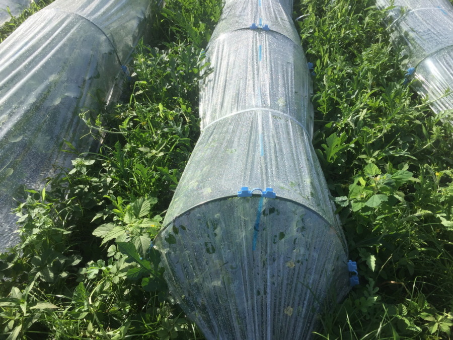 【フォト】ブロックの様子。（外）