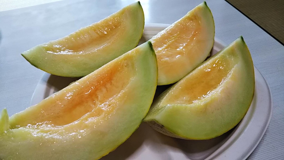 めろんです。切ってみました。