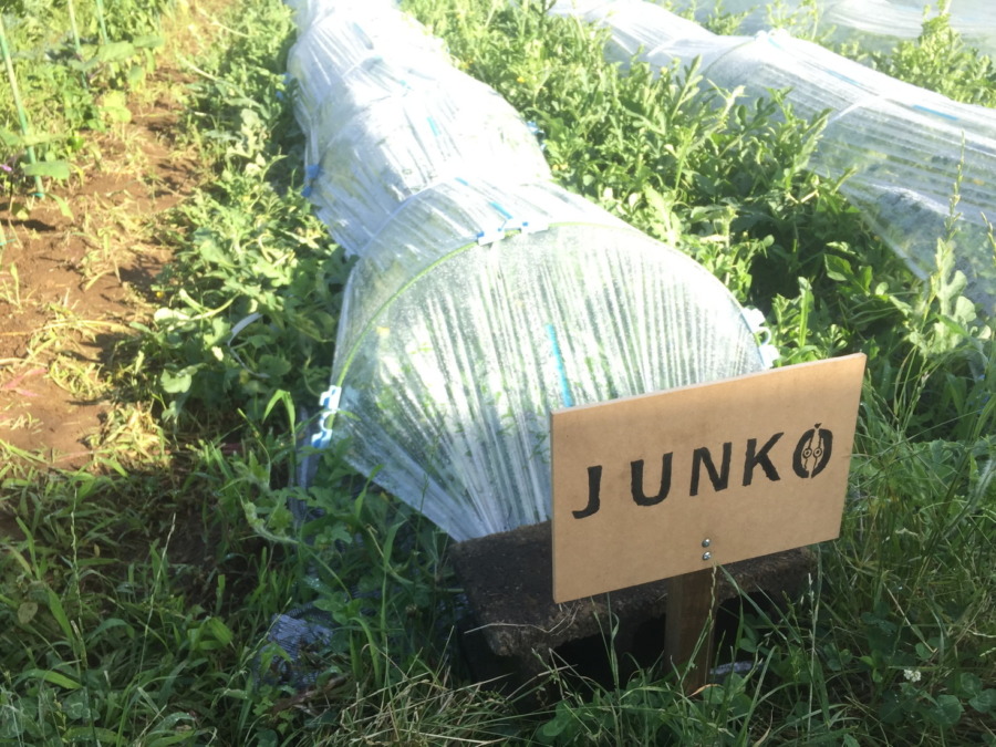 【フォト】ブロックの様子。（外）