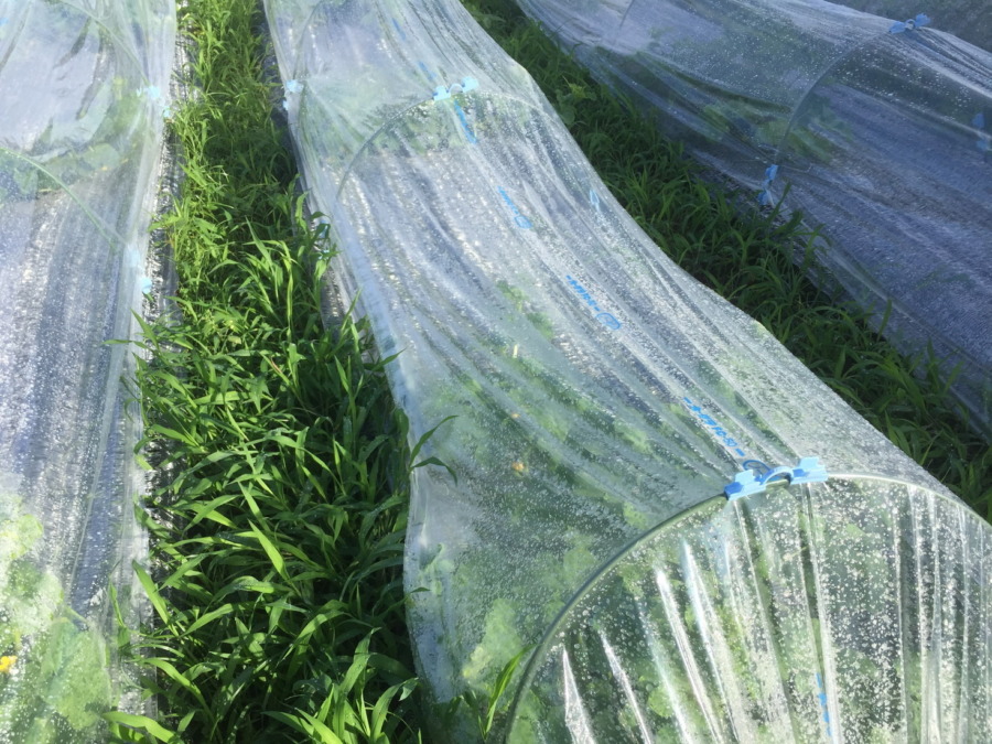 【フォト】ブロックの様子。（外）