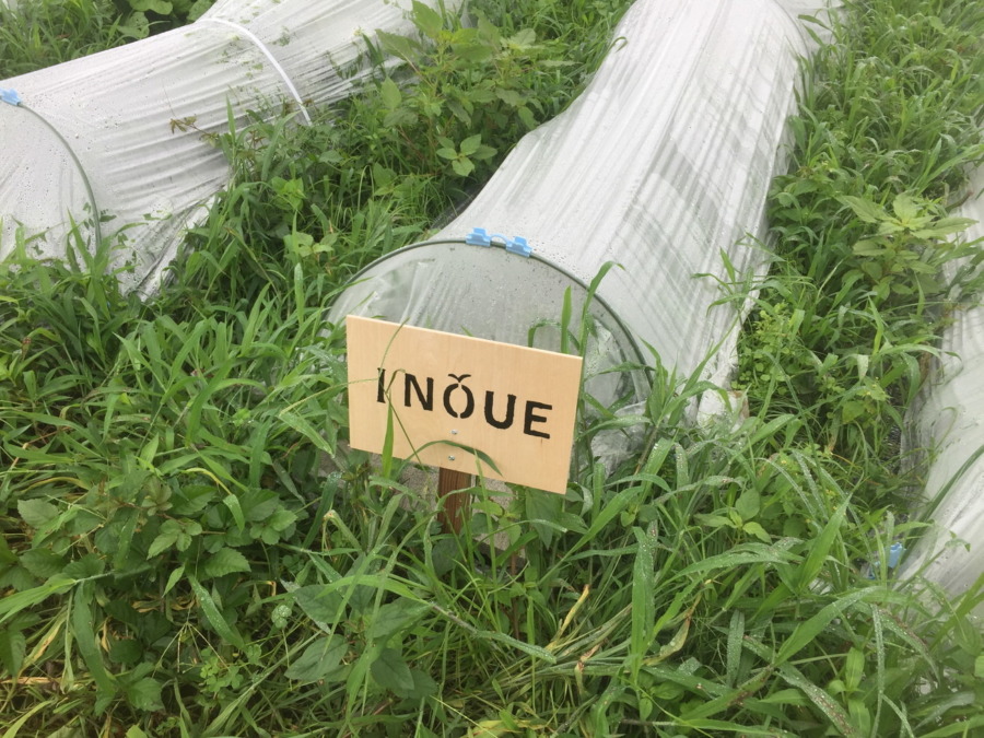 【フォト】めろんの様子。