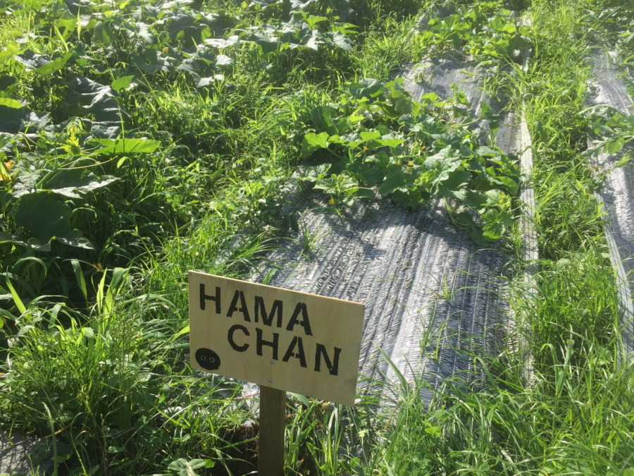 【フォト】ブロックの様子。（外）