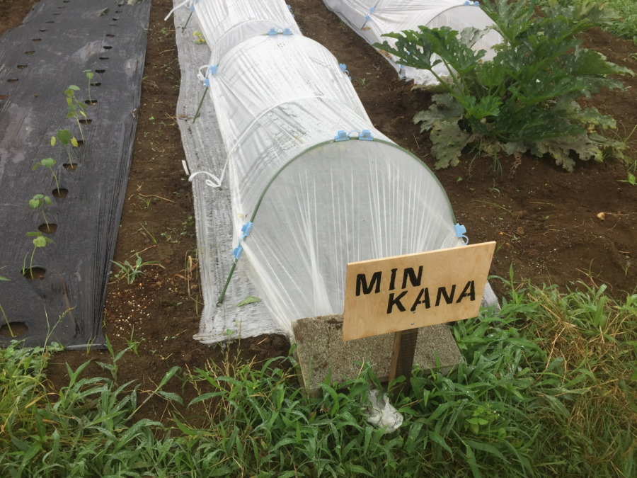 【フォト】めろんの様子。