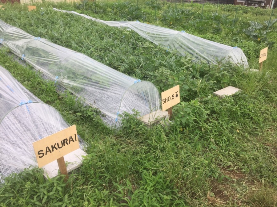 マイブロック会員の皆様に、新しい看板の設置を始めました。