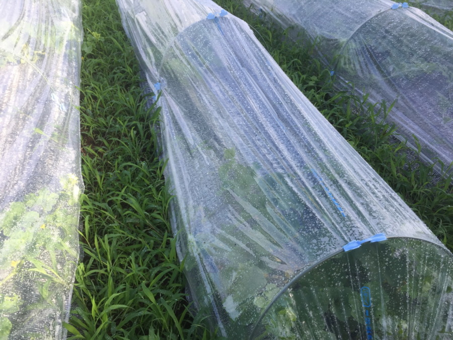 【フォト】ブロックの様子。（外）