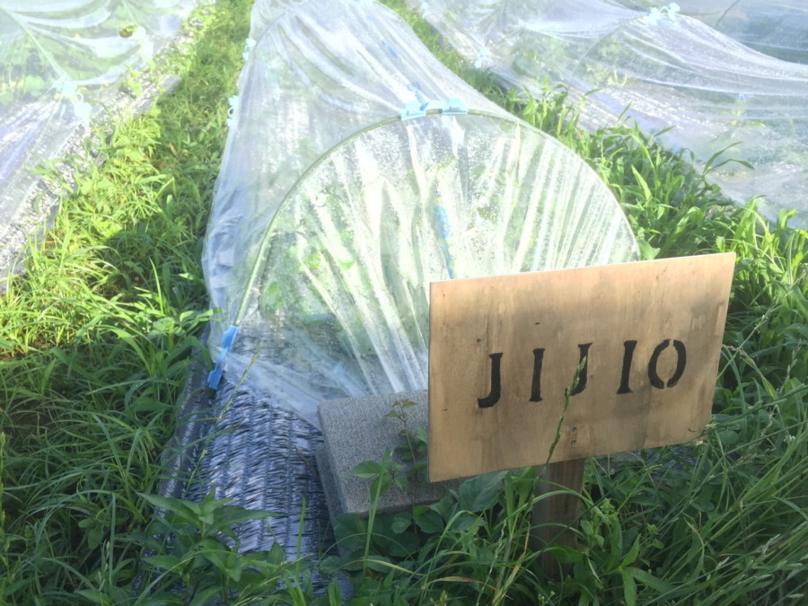 【フォト】ブロックの様子。（外）