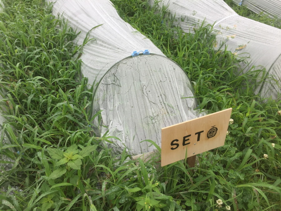 【フォト】めろんブロックの様子。