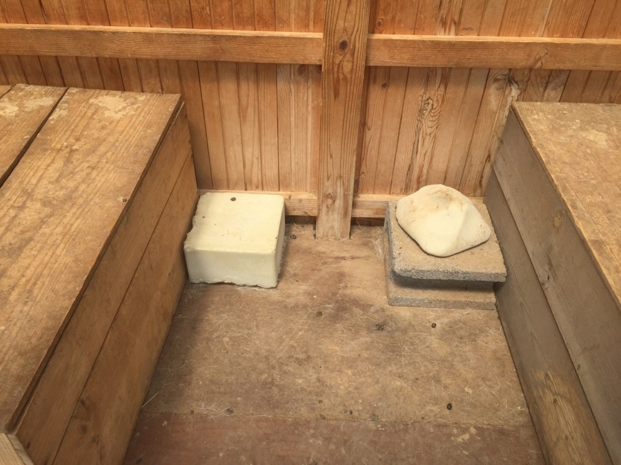 夏バテ対策。ブロックの塩、そして、水。