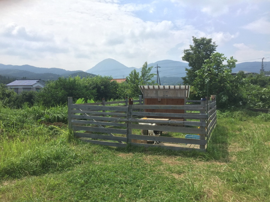 【上級者向け】わたしの顔はどこでしょう？