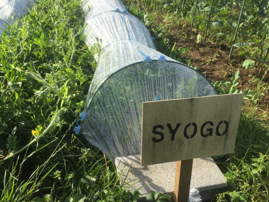 【フォト】ブロックの様子。（外）