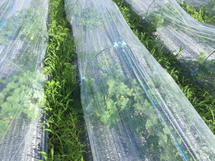 【フォト】ブロックの様子。（外）