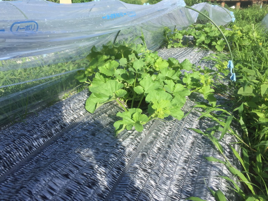 【フォト】ブロックの様子。（外）