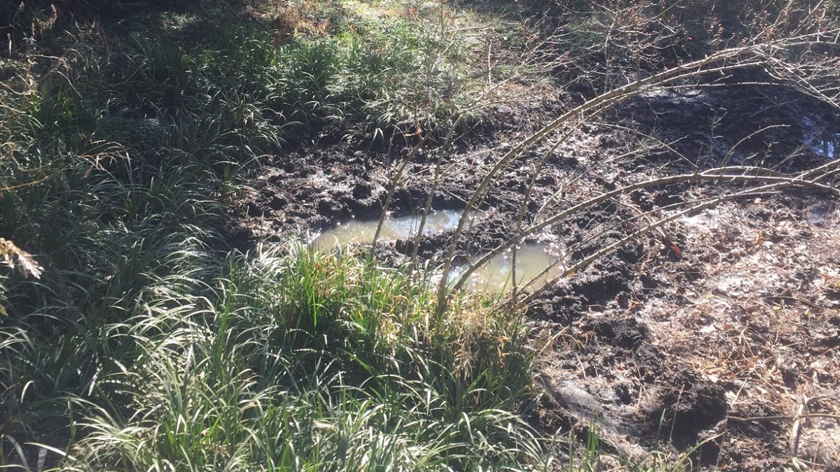 【クイズ】罠猟、沼田場