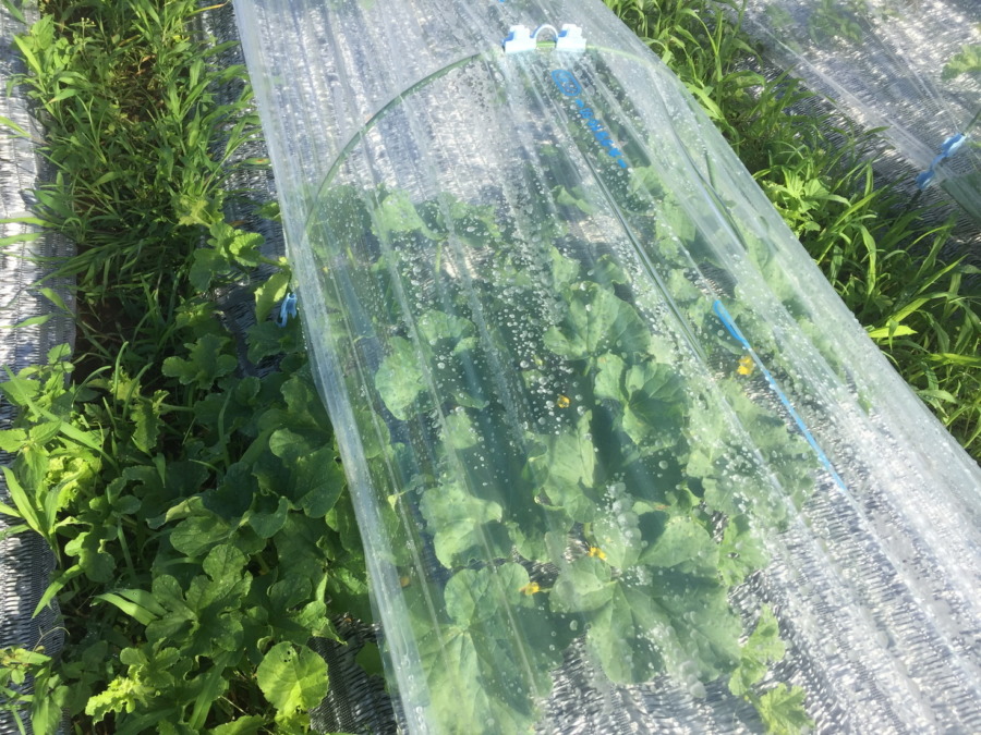 【フォト】ブロックの様子。（外）