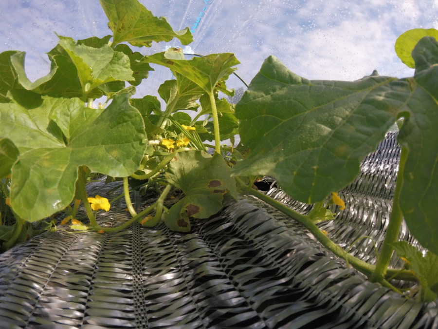 【フォト】トンネル内の様子。