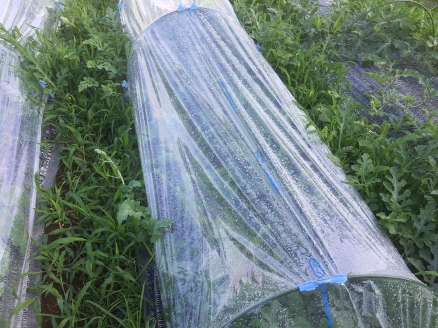 【フォト】ブロックの様子。（外）