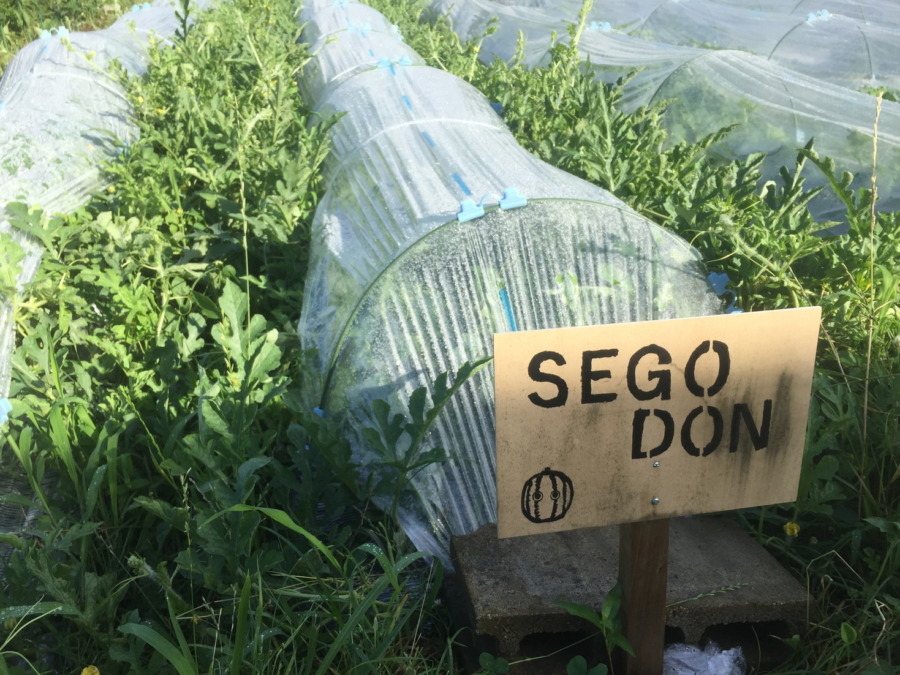 【フォト】ブロックの様子。（外）