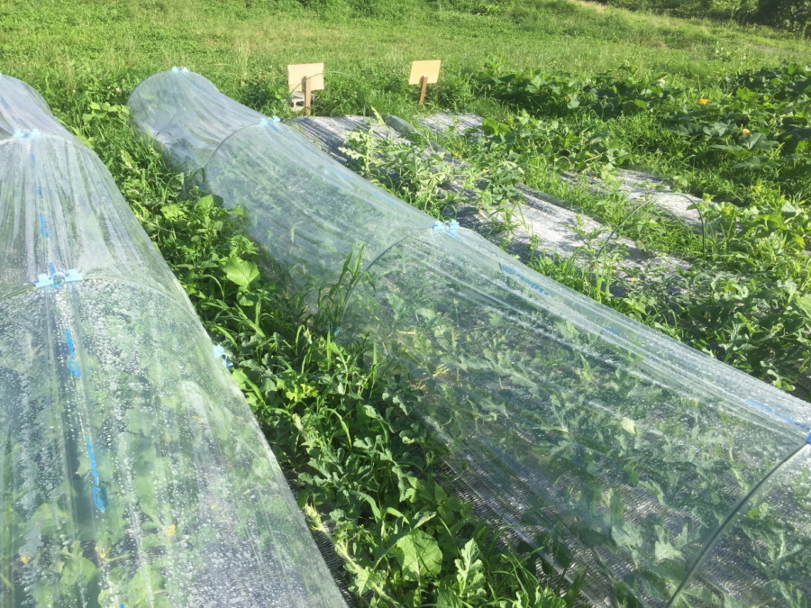 【フォト】ブロックの様子。（外）