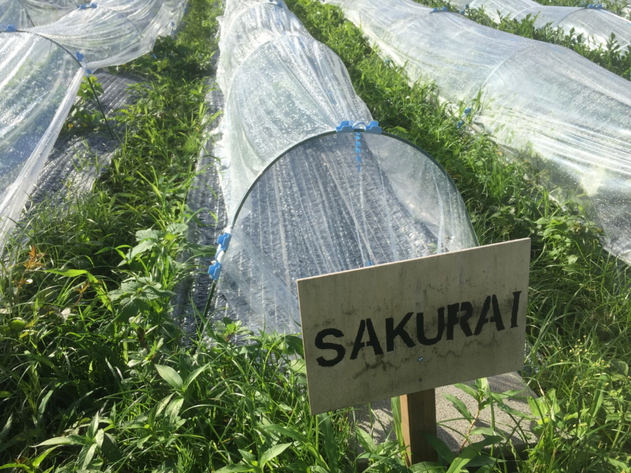 【フォト】ブロックの様子。（外）