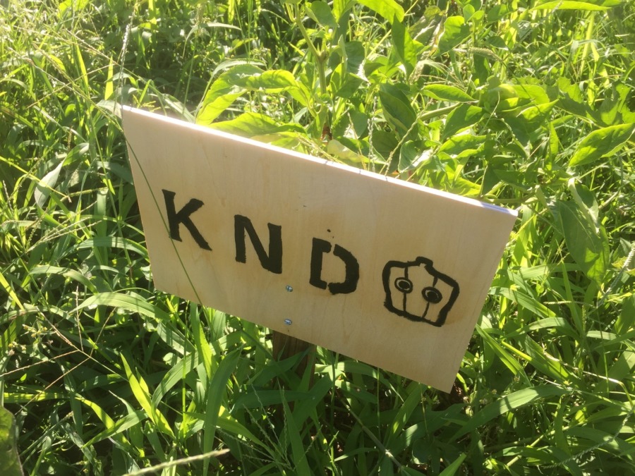 【フォト】ぴーまんの様子。