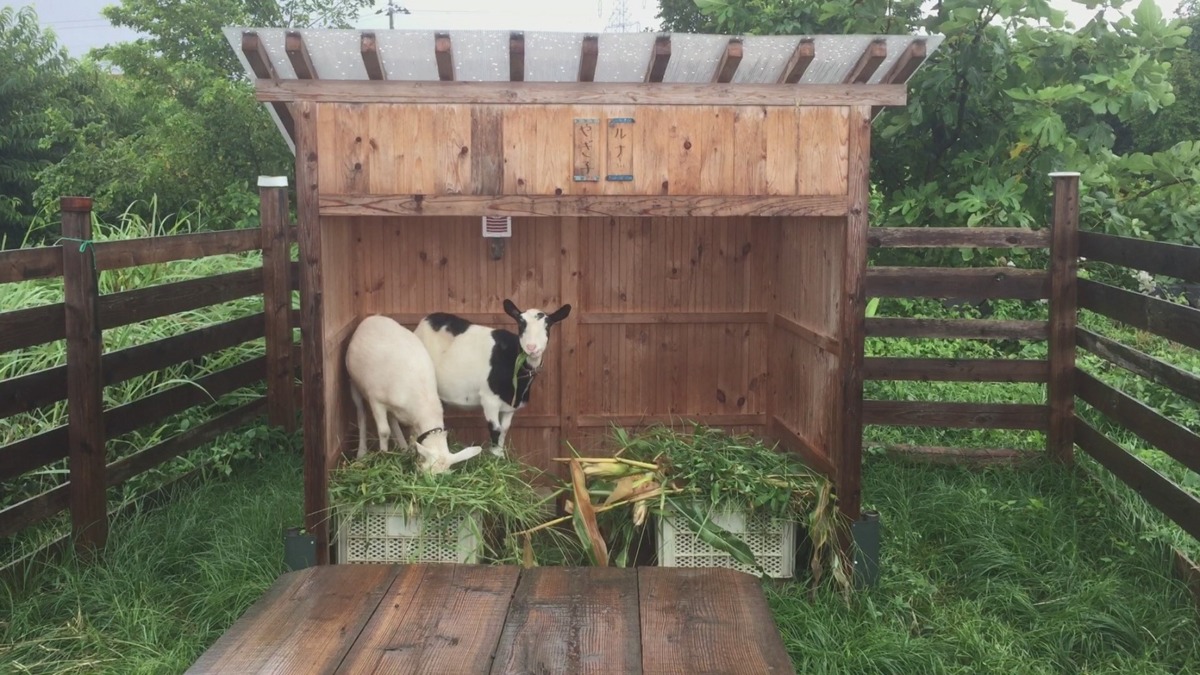 【朝のお食事中】そろそろ台風が。