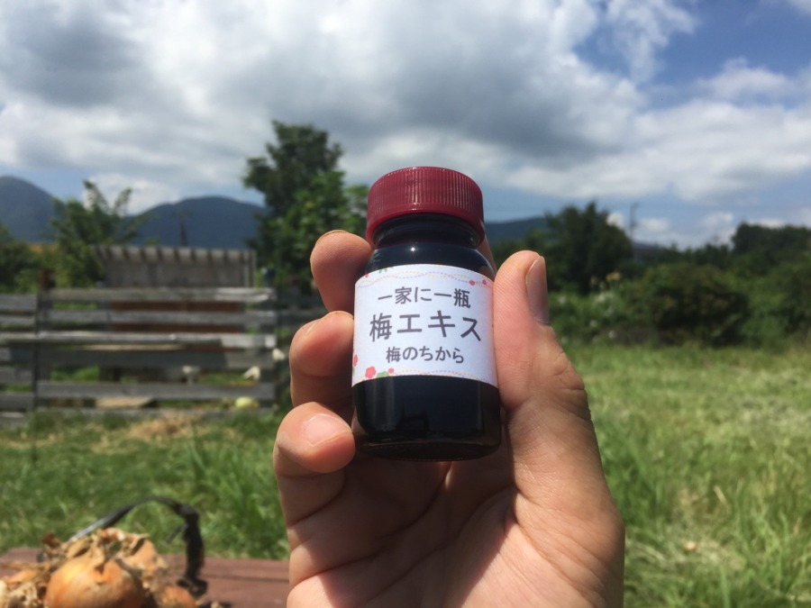 これなーんだ！？