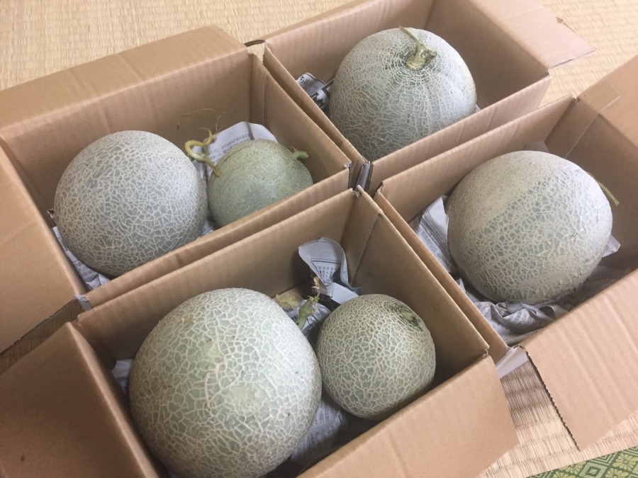 【配送完了！】メロン、送りますね。