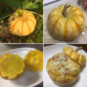 【簡単・美味しい！】プッチーニのお料理