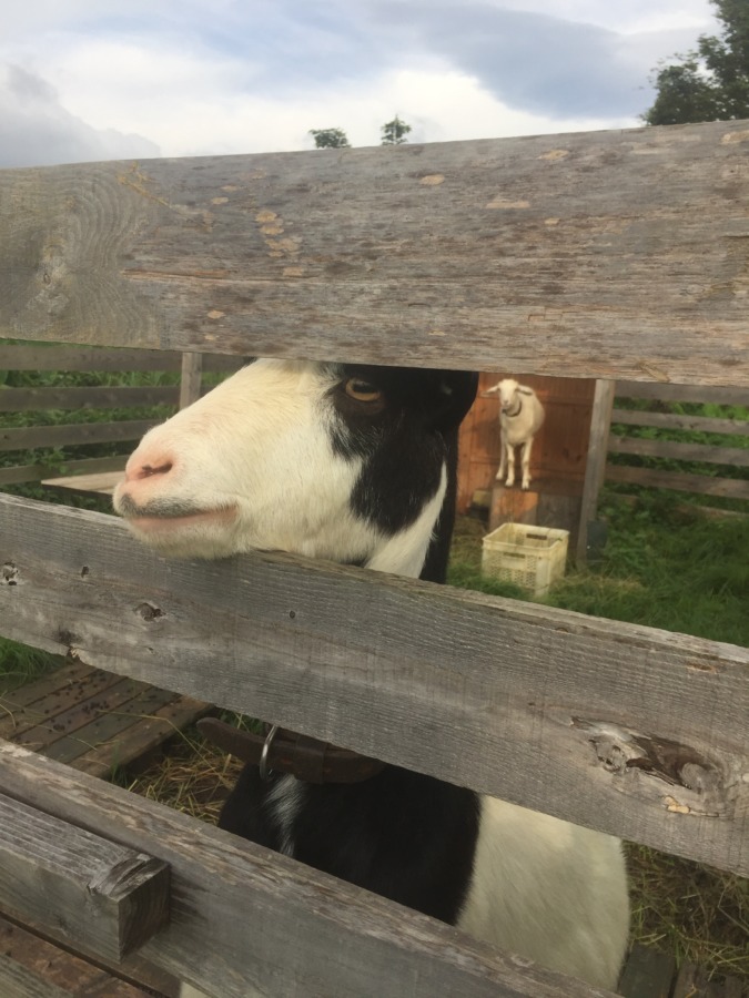 秋の風を感じる。