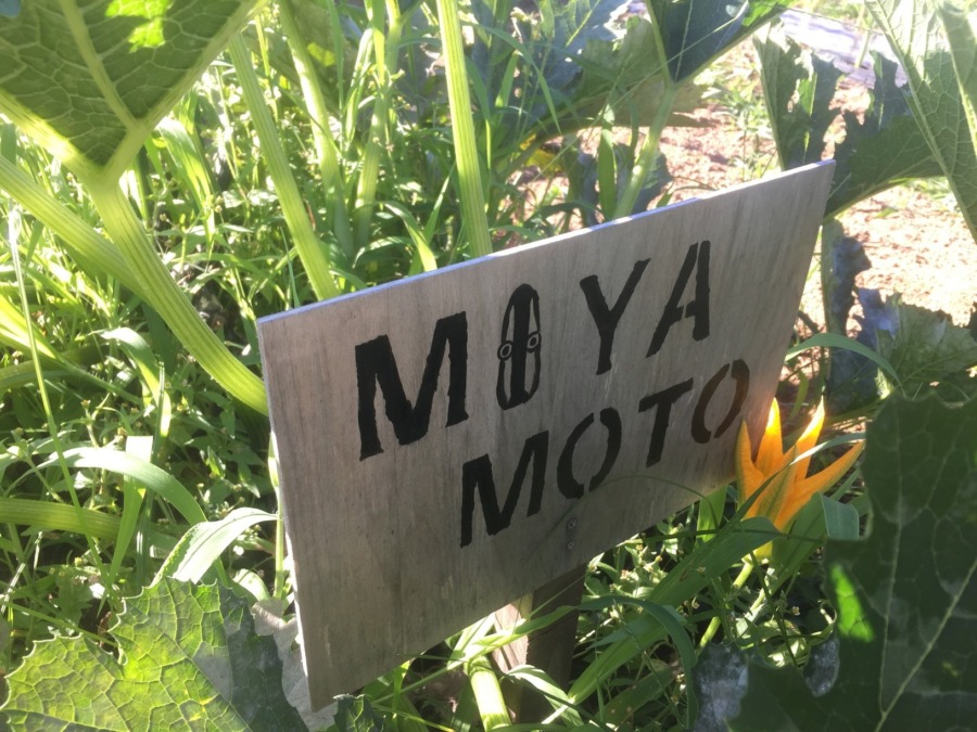 【フォト】ずっきーにの様子。