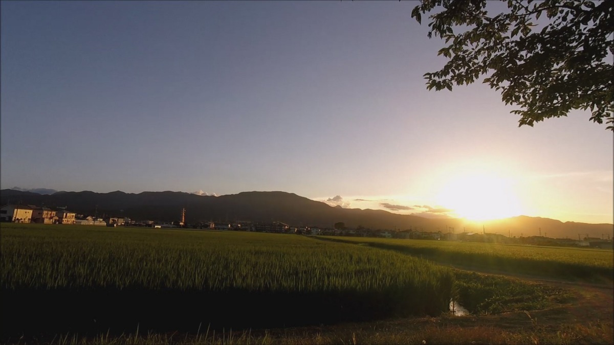 【タイムラプス】踊る！夏の雲と、富士山チラ見せ。