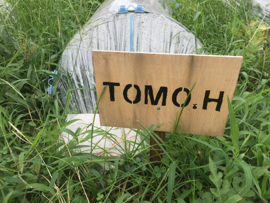 【フォト】めろんの様子。