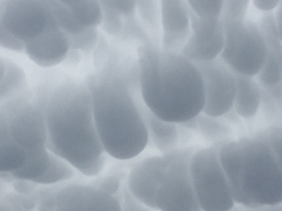 【貴重・観察】台風の余波を受けて、特徴的な雲。