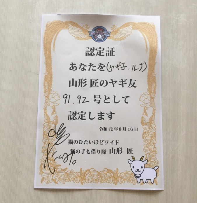 【テレビに出ます】テレビ神奈川（TVK）さんが来てくれました。